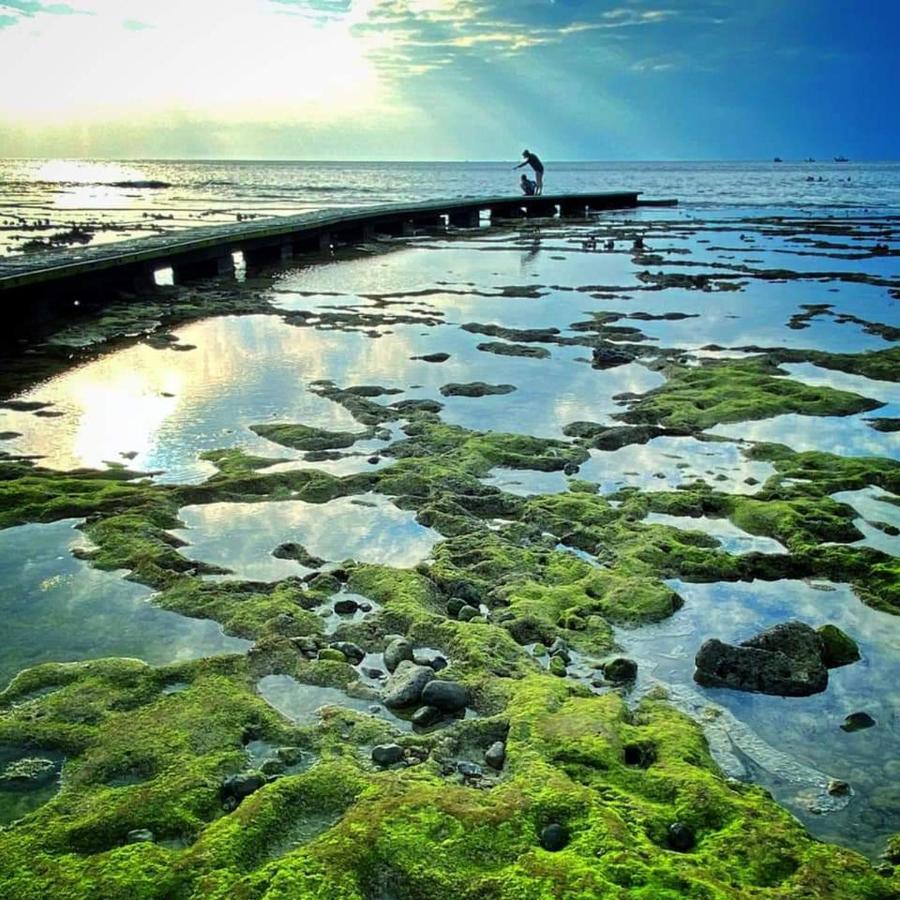 サナサイ イン 緑島郷 エクステリア 写真