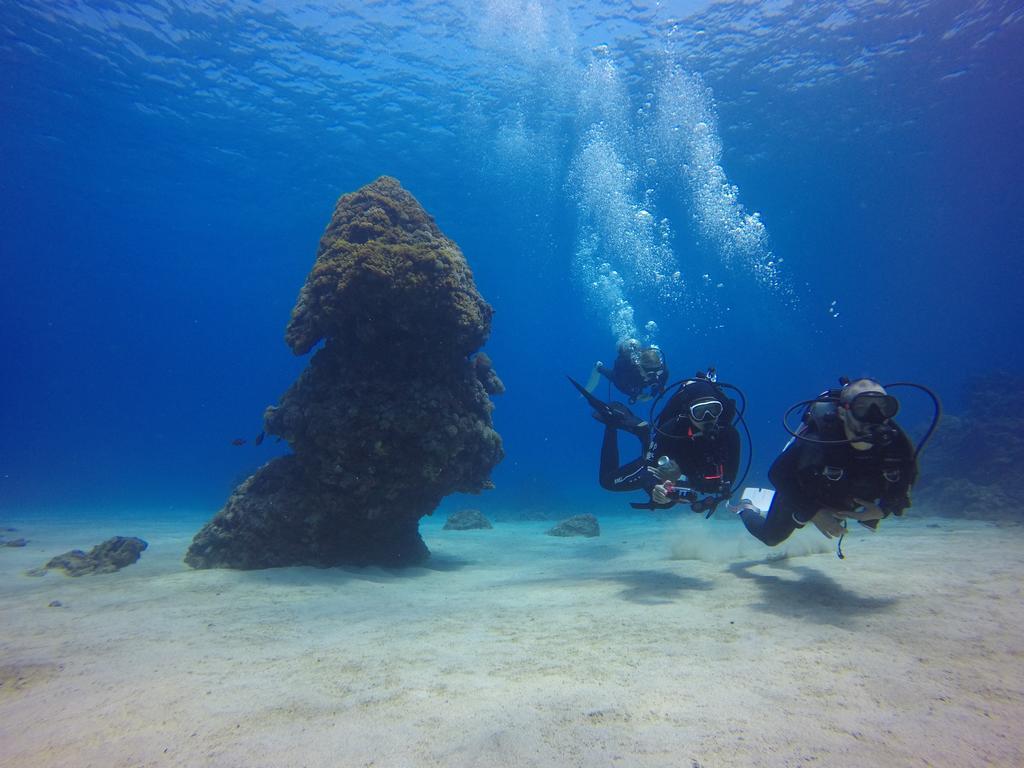 サナサイ イン 緑島郷 エクステリア 写真