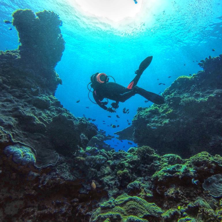サナサイ イン 緑島郷 エクステリア 写真